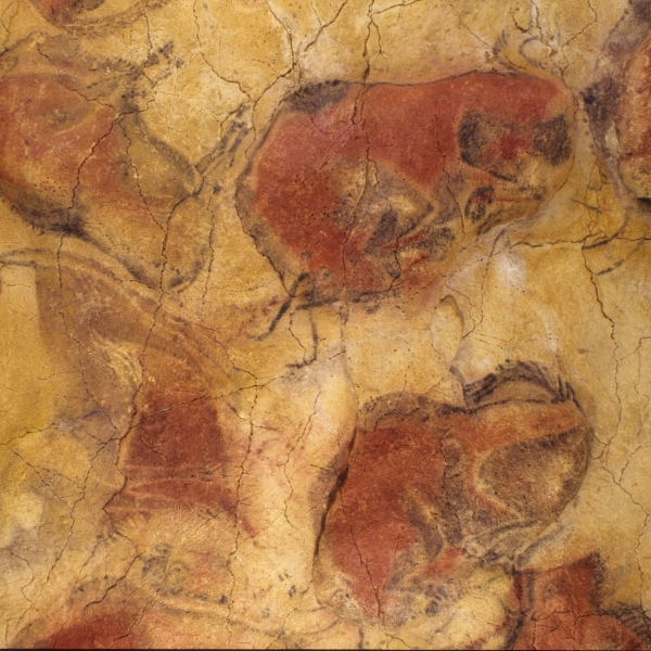 Techo de los polícromos MNCIA. Fotografía Pedro Saura